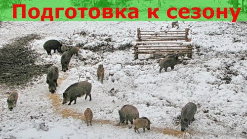 Вести с полей 2019