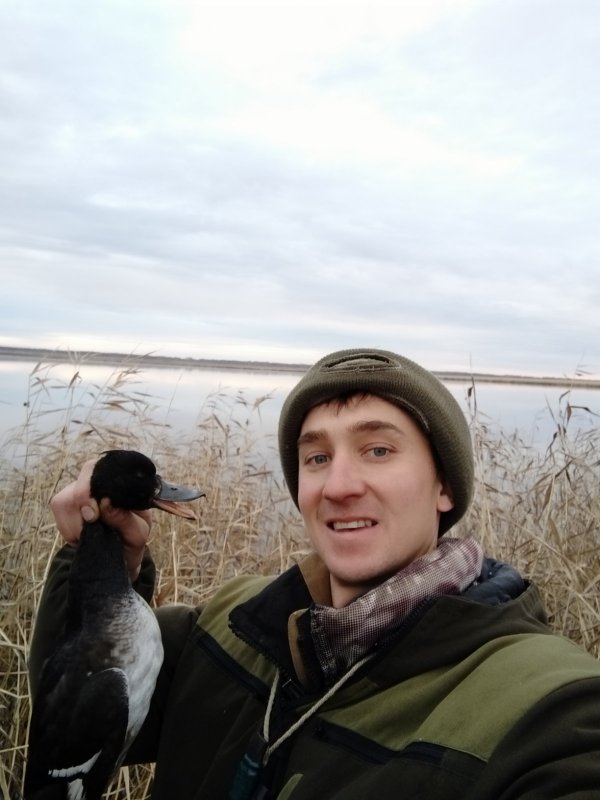 Прилетел)))