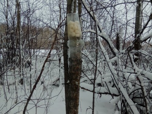 Гуманитарная помощь