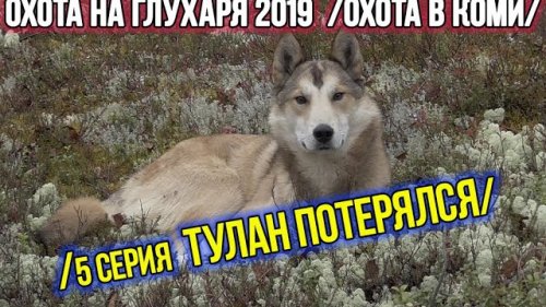 Охота на глухаря 2019 ?? Охота в Коми. 5 серия.