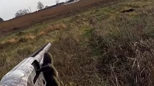 Отличное открытие охоты на зайца