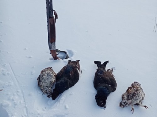 -32 Красота