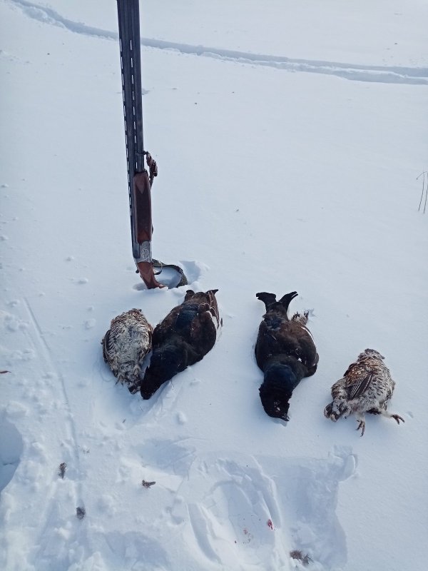 -32 Красота