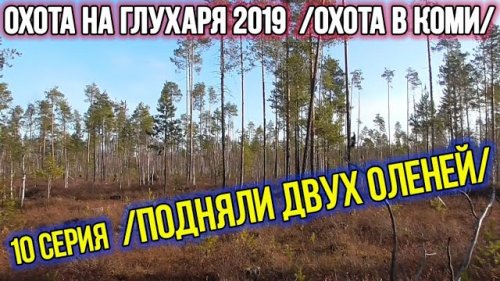 Охота на глухаря 2019 ?? Охота в Коми. 10 серия.