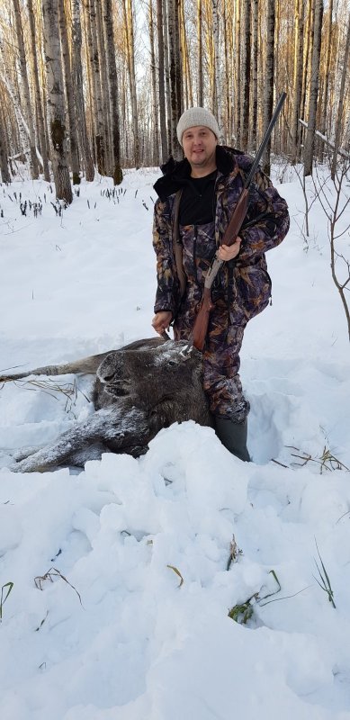Лось 2019