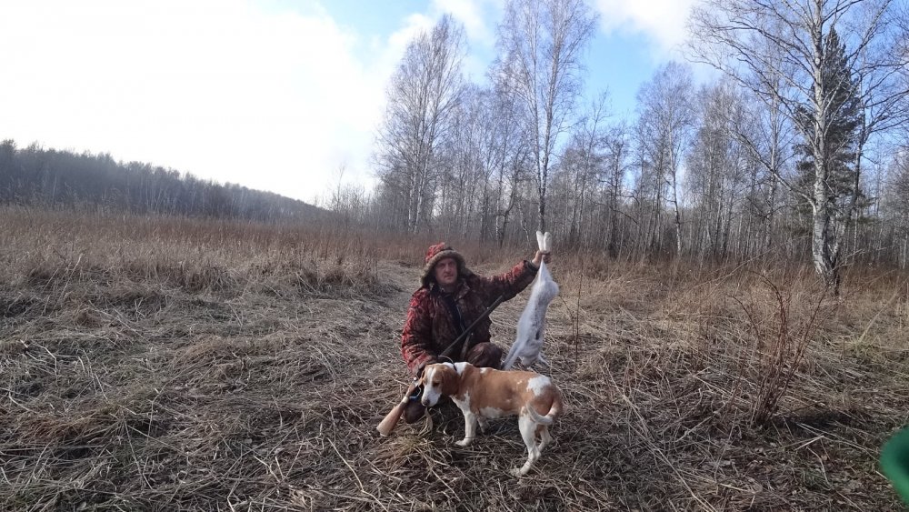 Охота по чернотропу