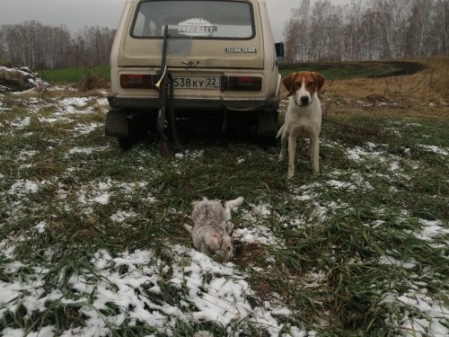Первый в этом сезоне.