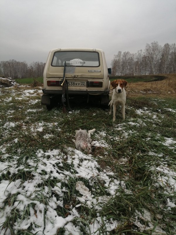 Первый в этом сезоне.