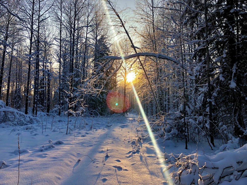Луч солнца золотого