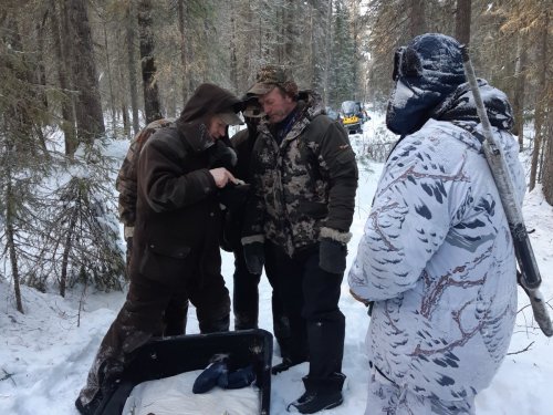 Первый загон. Осень 2019