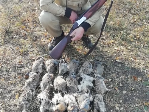 Удачно постреляли