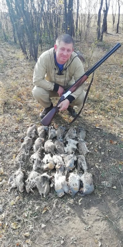 Удачно постреляли