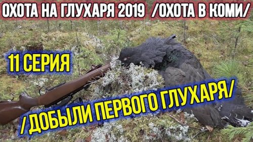 Охота на глухаря 2019 ?? Охота в Коми. 11 серия.