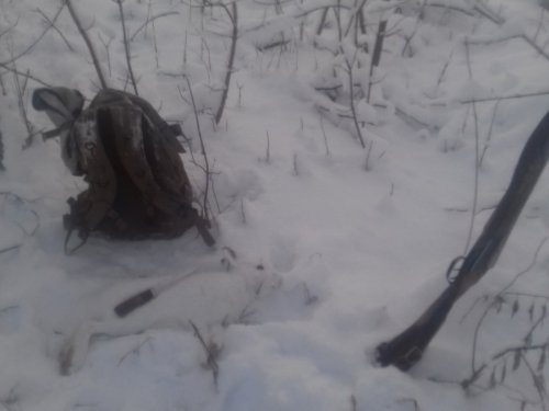Трудовой Заяц
