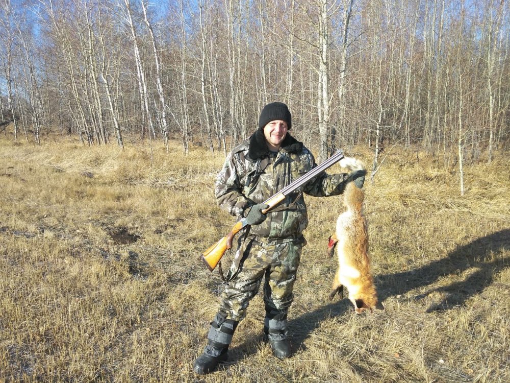 Рыжая плутовка.