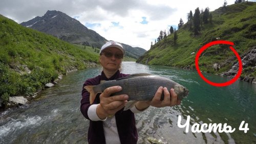 Поход на Озеро Тальмень 4 часть  Хариус ловится с каждым забросом