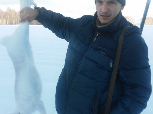 В Томском районе