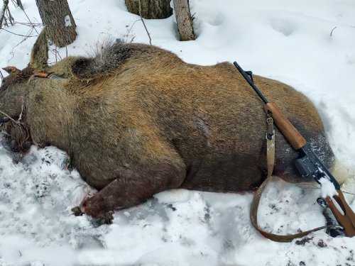 Охота в одного