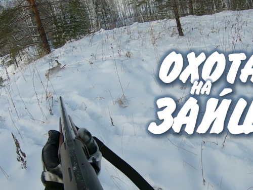 Удачный кадр