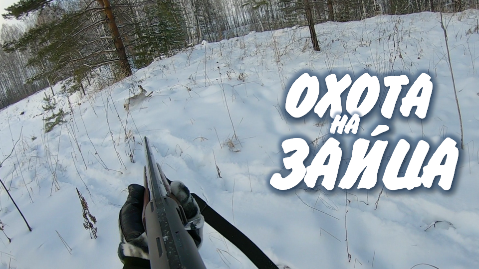Удачный кадр
