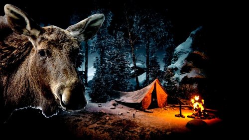 24 ЧАСА В ЛЕСУ Дикая кухня Один в Горной Шории 5 часть