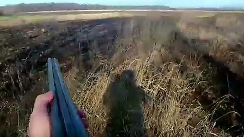 Эпизод 12: Самая быстрая охота на зайца