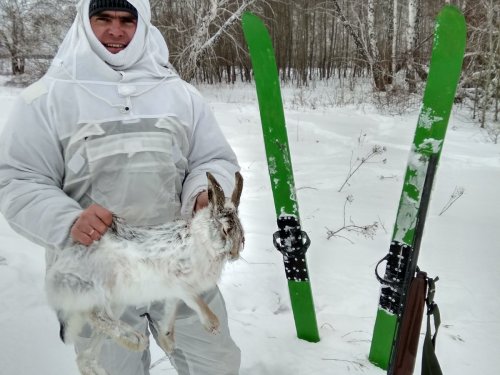 Трудовой