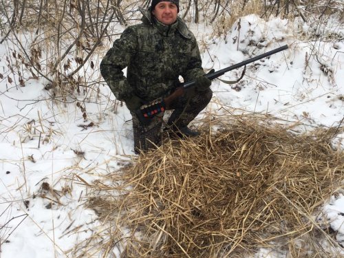 Северный р-он НСО. Обьявился кабан.