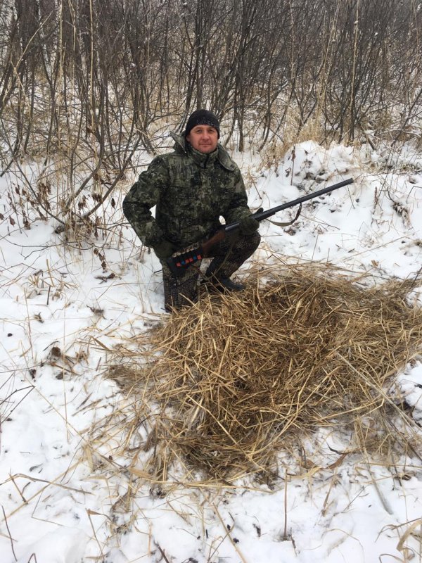 Северный р-он НСО. Обьявился кабан.