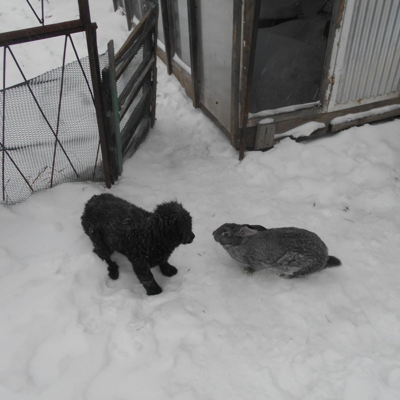 Косого знаеш))