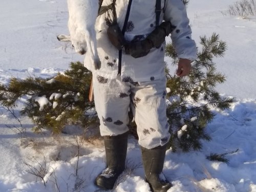 Взяли...