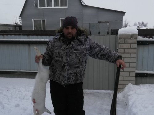 Трудовой...