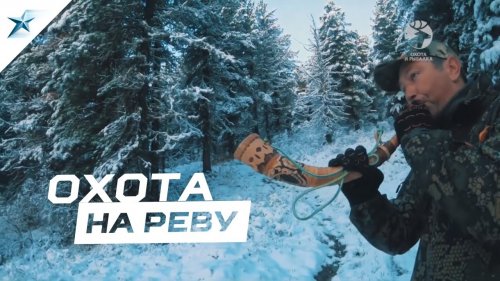 Охота на реву 2019 на вездеходах SeverTrucks. БОЛЬШАЯ ДОБЫЧА