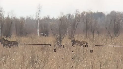 Самодельное классное Видеоружьё!