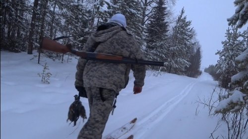 ОХОТА ВОЗЛЕ ДЕРЕВНИ В НЕПОГОДУ / КОМИ РЕСПУБЛИКА.