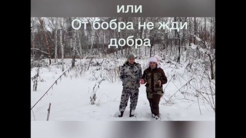 Охота на бобра с помощью гуманных капканов. Полная версия уже в это воскресенье!!! Не пропустите!