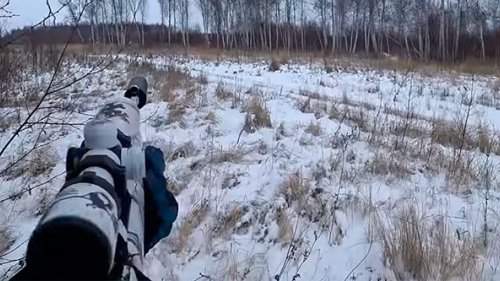 Большая охота на косулю. Охотхозяйство Богородское