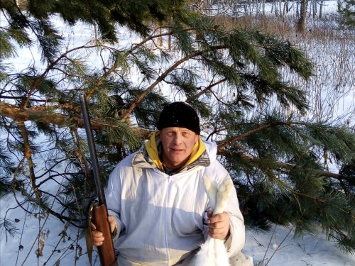 В многоследье Бушуй не подвёл.