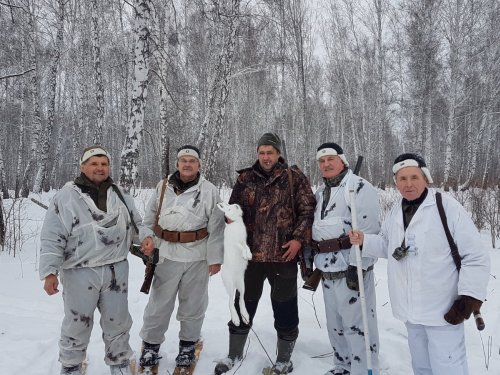 Трудовой зайка