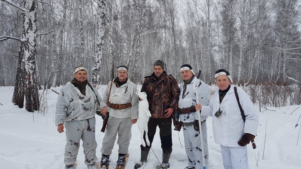 Трудовой зайка