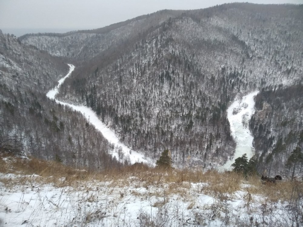 Дикая речка