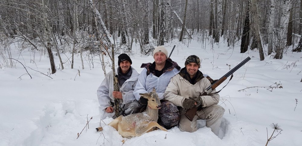Косуля 2019