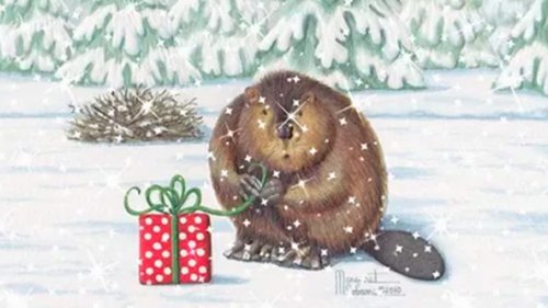 Новогодняя охота на бобра капканами! Необычный подарок от бобров к новому году!