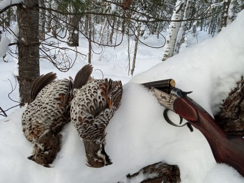 Рябцы.