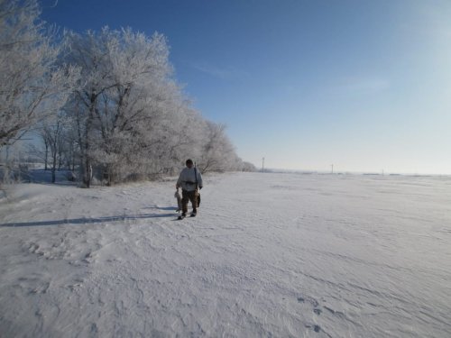 Опять - принеси, отнеси))))