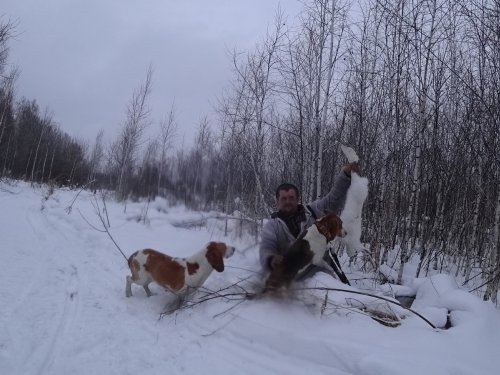 охота в дождь и снег