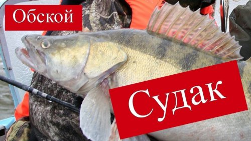 Рыбачим на Обском море в Спирино