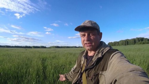 Натаска дратхаара.  Часть 1 -  Перепел