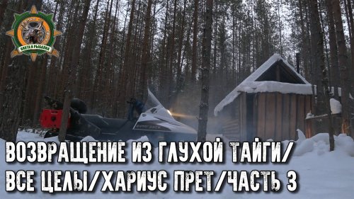 Возвращение из тайги. Все целые и невредимые. Часть 3