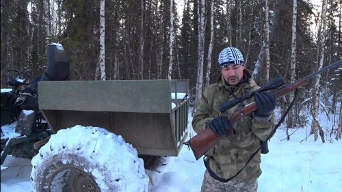 Охота на Севере. Волки хозяйничают на свалке